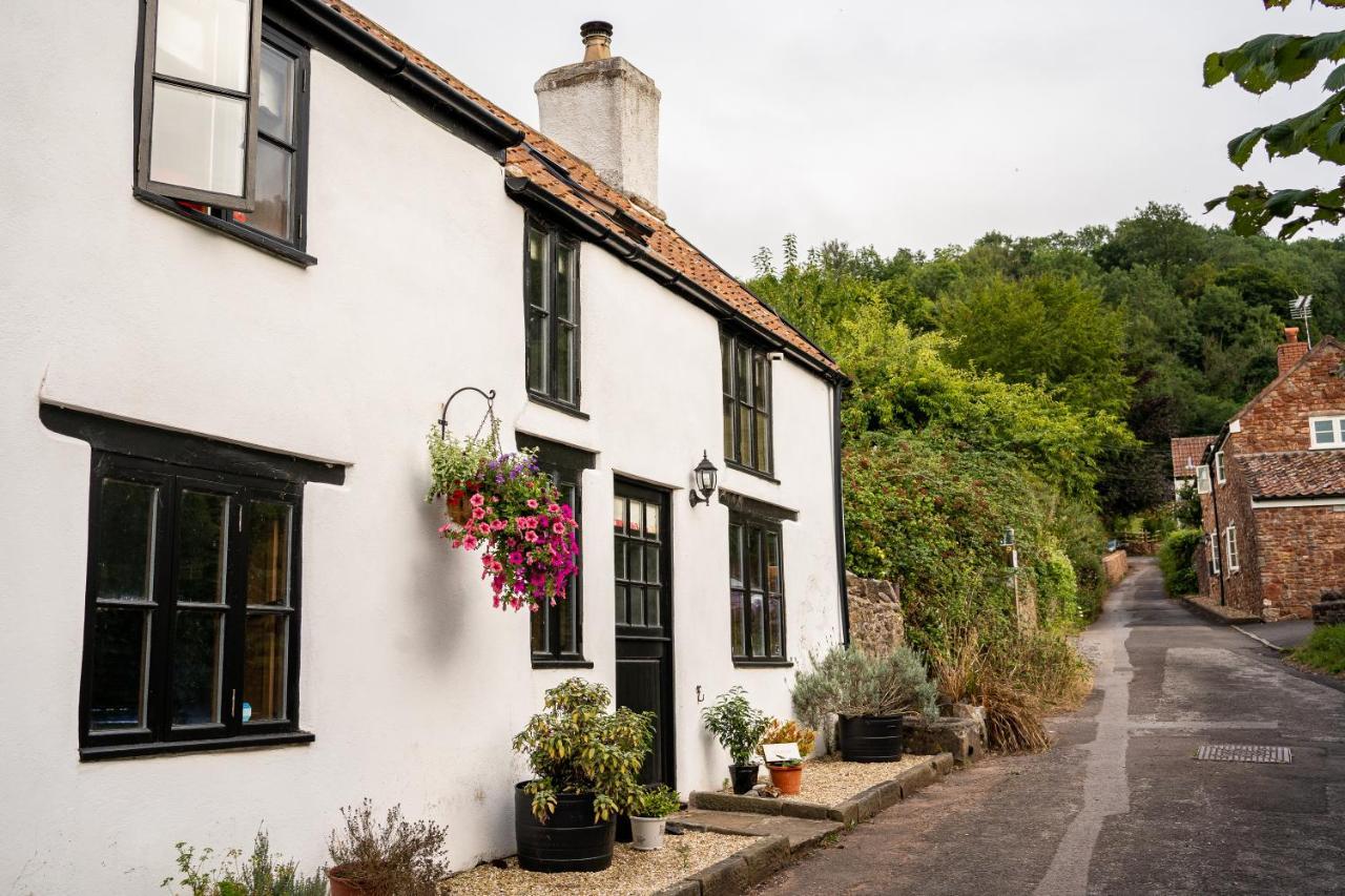 Woodview - Cosy 1840S Cottage In Chew Valley And Mendip Aonb Compton Martin Bagian luar foto