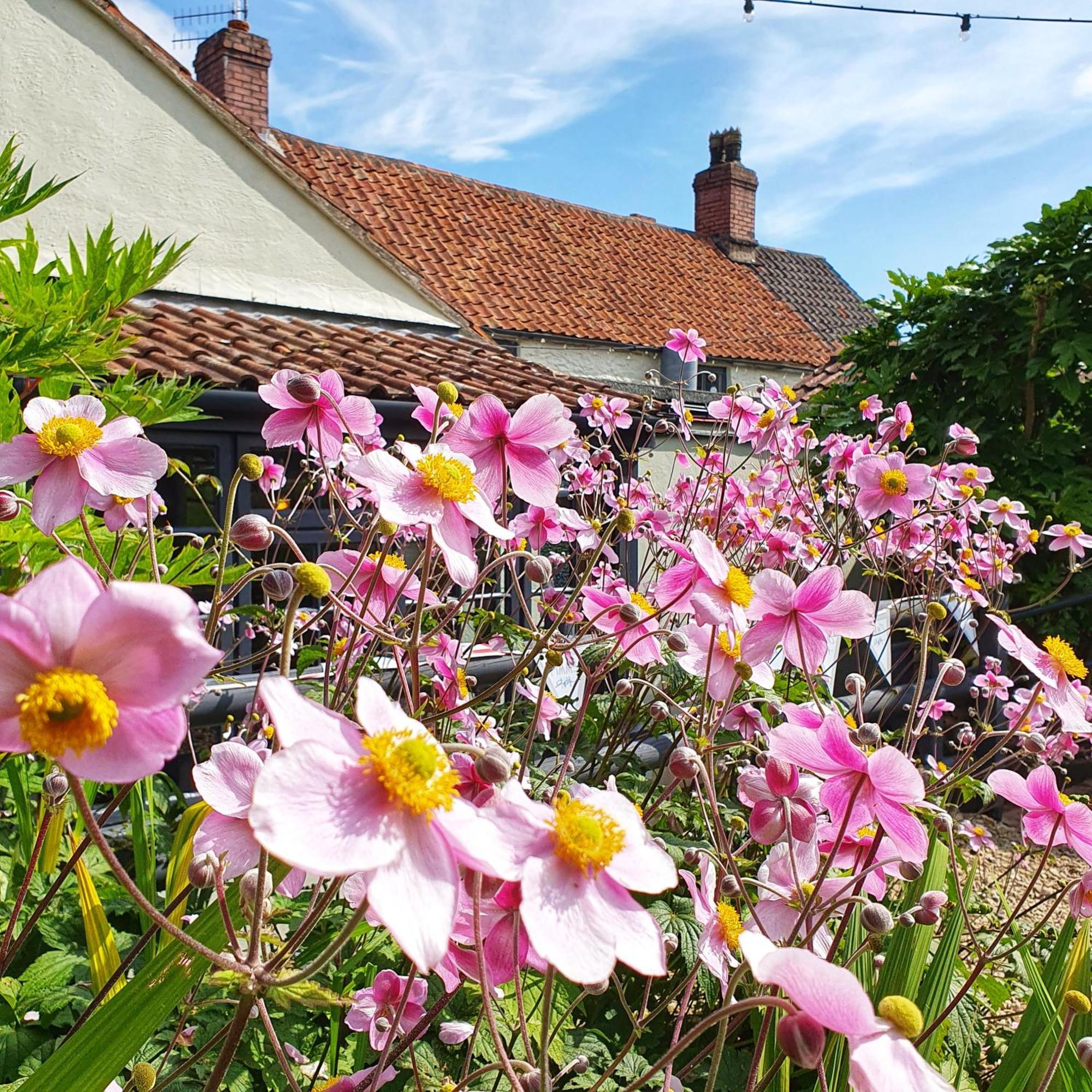 Woodview - Cosy 1840S Cottage In Chew Valley And Mendip Aonb Compton Martin Bagian luar foto